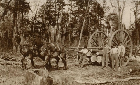 A two-horse team with a pair of big logging wheels, a load of short logs slung beneath the axle, Michigan, 1915. Hendrick family photos, via Wikimedia Commons, public domain (PD-US).