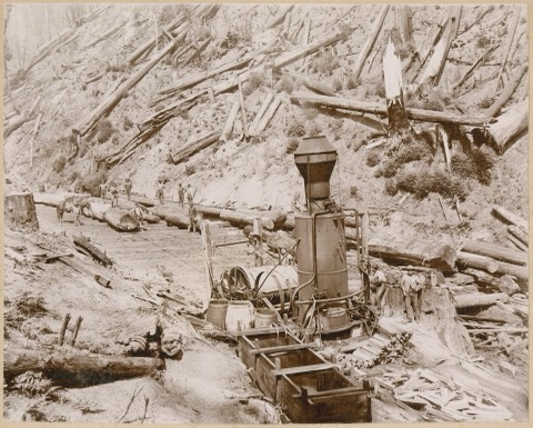A donkey engine at the head of a skid road, with its crew, 1894. Photographed by Carpenter.