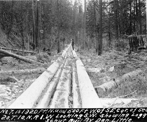 A log chute of long logs laid side by side, with a smoothed timber down the middle and a man standing at the far end, built by Dan Little near Kelso, Washington, about 1898. The handwritten caption on the original reads 