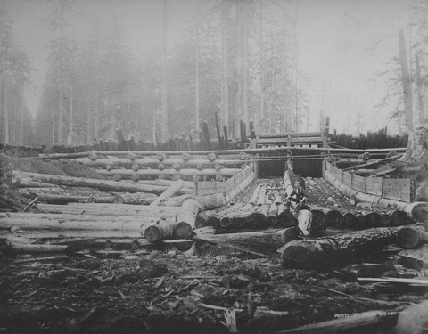 A timber splash dam on Chenois Creek in western Grays Harbor County, Washington, about 1905, seen from below, with its gated opening at the center and logs lying in the creek bed in front.